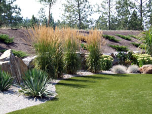 Don recommends waterwise landscapes using draught tolerant plants, Natures Gold, Waterwise Soil and Synlawn&reg; 